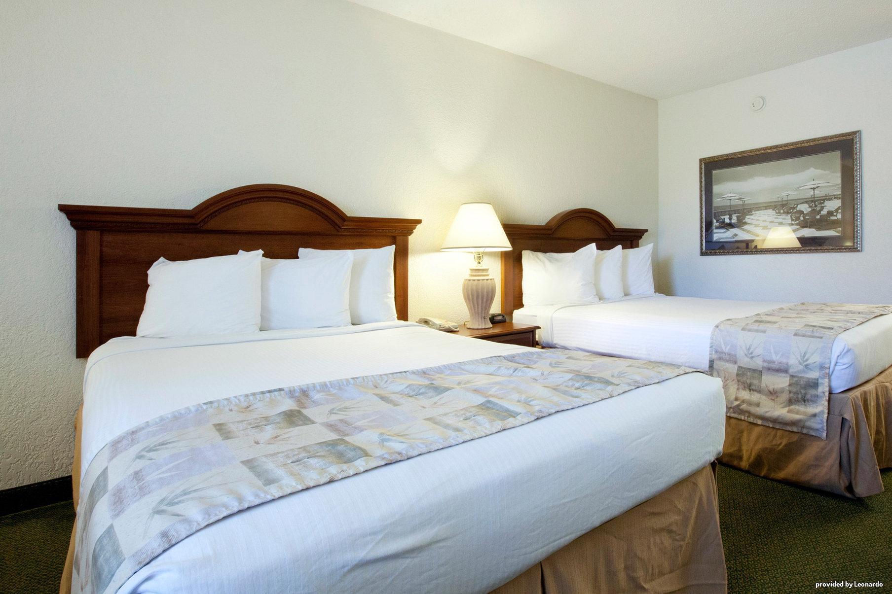 Baymont By Wyndham Sarasota Quarto foto